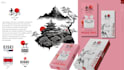 design professional multimedia graphics
