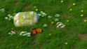 create your youtube intro with this butterfly animation