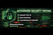perform professional web application penetration testing and bug hunting