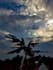 do gundam and model kit photography