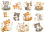 draw cute animal and character illustrations