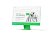 do custom website development business website, full stack, frontend developer