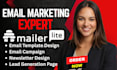 mailchimp campaign flow mailerlite landing page newsletter email template design