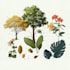 hand drawn cillustration, flower, plant