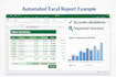 professional excel automation for reports and data analysis