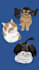 illustrate your pet in a unique painterly style