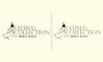 do vector tracing manual vector trace logo to vector redraw convert to vector