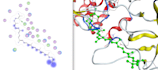 do molecular docking using autodock vina pyrx