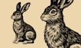 create amazing illustrations in linocut style