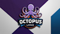 design amazing octopus logo