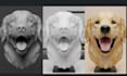 3d model, print and hand paint your custom 3d head bust, face, stl file fix