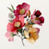 make stunning botanical plants illustration