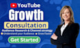 provide youtube growth consultation and video optimization