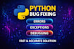 python bug fixing and debugging service