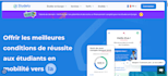 create a professional web solution for your needs