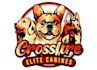 design excellent dog logo