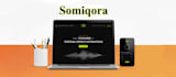 build ai website, ai mobile app, full stack website development, ai software
