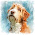 make watercolor pet portrait