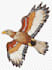 make urgent embroidery patch digitizing in 12 hours