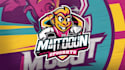 create cartoon sports mascot logo design