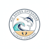 design awesome boat logo with unlimited revisions