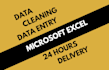 do excel formatting, cleaning and analysing data