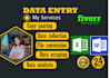 do professional data entry and excel work  I provide professional and error free
