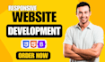 design modern responsive front end website using HTML CSS js