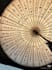 do chinese calligraphy and design calligraphy products