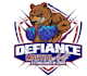 make creative and good looking bear logo