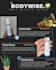 designs canva graphics for everything needed