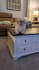 create pet ugc with my dogs for your pet brand