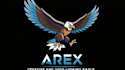 do cartoon mascot creative and good looking eagle logo design