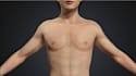 pro rig and model stylized 3d stylized character from c4d blender maya cc4 cc5