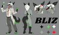 draw furry reference sheet fursona ref sheet anthro character furry ref sheet