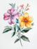 best botanical illustration art
