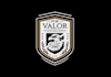 design a professional security company logo