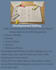 developmentally edit your creative nonfiction manuscript