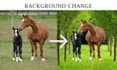 do professional background change and photo editing