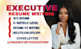 write a professional executive resume and cover letter