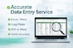 do accurate data entry, copy paste and pdf to world typing