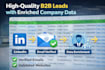 provide b2b lead generation with data enrichment appending and missing data
