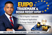 provide professional trademark search and brand protection report