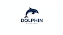 make eye catching dolphin logo in my style