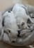 create digital paintings no ai
