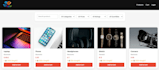 develop a professional responsive website fullstack