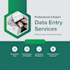 do data entry, excel and google sheets organization for your business