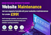 provide website and mobileapp maintenance, including updates, fixes, and support