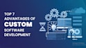 do software development, custom website backend, front end web developer
