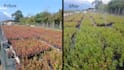 help you increase your crop and produce yield
